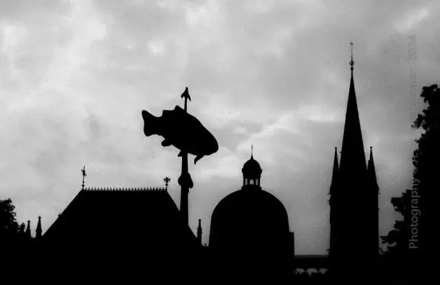 Aachen Cathedral (Silhouette) with a fish on a lance, shot during the {European market} in 2014