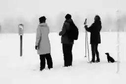 'Drei Wanderer und ein Hund im Schnee' in a higher resolution